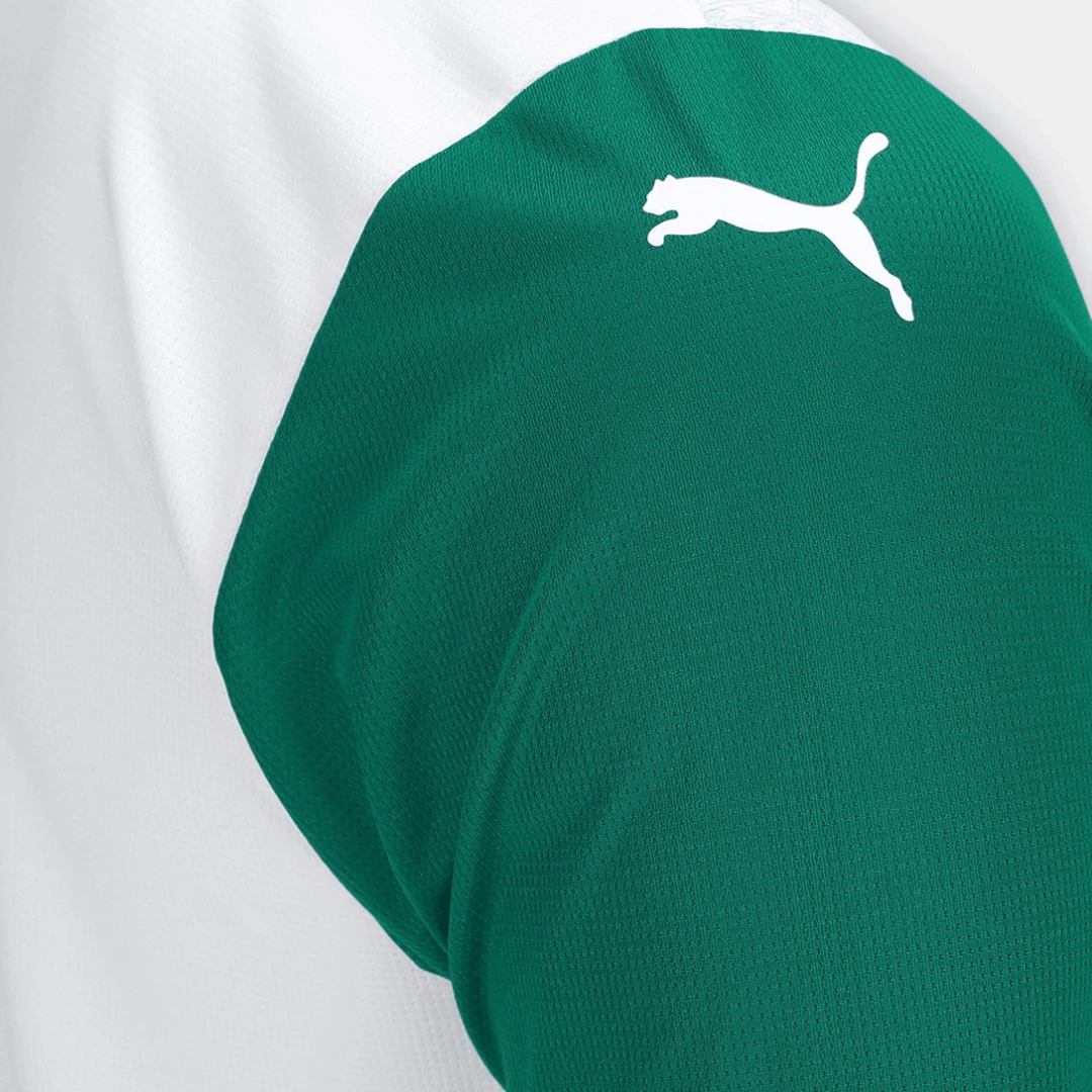 Palmeiras away 25/26