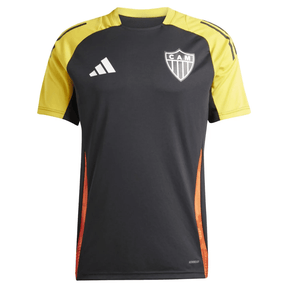 Atlético Mineiro technical committee 25/26