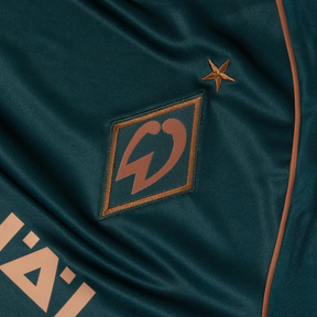 Werder Bremen third 25/26