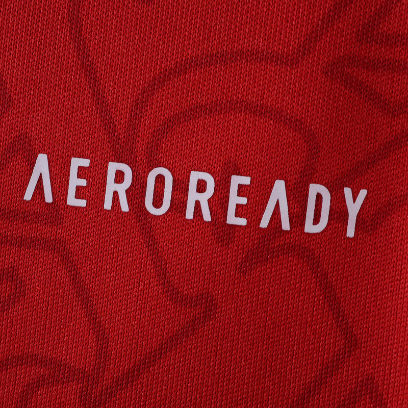 Arsenal Home Jersey 2025/26 Long Sleeve